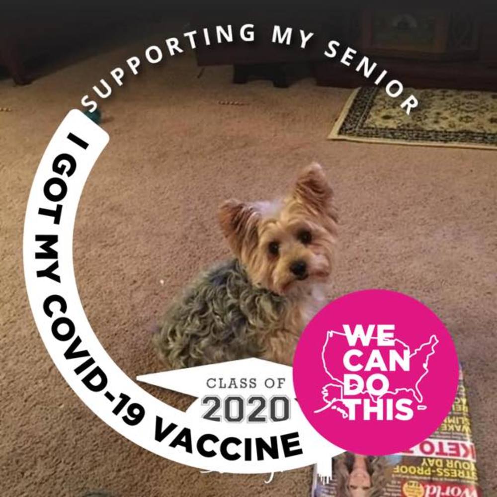 Meet your Posher, Jackie